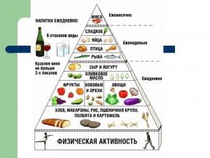 Рассчитываем суточную норму калорий