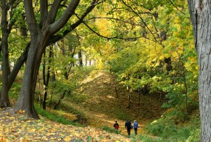 в парке Нескучный сад (осень)