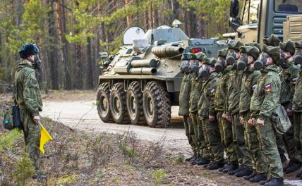 Лейтенанты Шойгу и сержанты Зеленского — в чем большая разница - Статьи - Армии и войны - Свободная Пресса