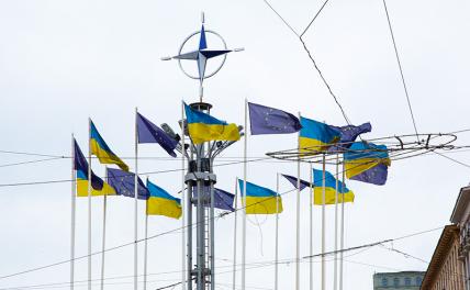 Демилитаризует ли Украина себя и НАТО? - Свободная Пресса - Новости Украины. Новости США. Новости России. Россия новости. Украина новости. США новости. Новости. Новости сегодня. Новости дня. Последние новости.