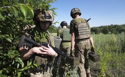 Оборона Херсона: Киев несет большие потери, но Зеленский требует наступать - Свободная Пресса - Потери ВСУ. Потери украинской армии. ВСУ потери. Потери ВСУ на сегодня. Новости Украины. Украина новости. Потери Украины. Потери ВСУ Украины на сегодня.