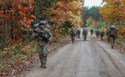 Business Insider Polska: Польша начала подготовку к войне. С Россией за Львов - Свободная Пресса - Новости Польши. Новости Украины. Новости сегодня. Война на Украине. Польша новости. Украина новости. Польша. Украина. Новости. Польша сегодня.