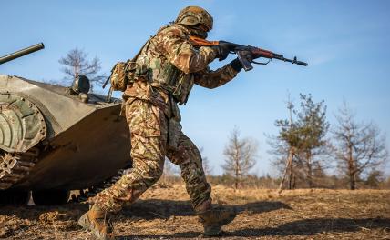 Мордвичёв против Драпатого: наша группировка “Центр” окружает Мирноград, силы врага на исходе - Свободная Пресса - СВО. Новости СВО. Новости с СВО 14.02.2025. Новости СВО 14 февраля 2025. Новости с фронта. Сводки СВО. Новости СВО сегодня.