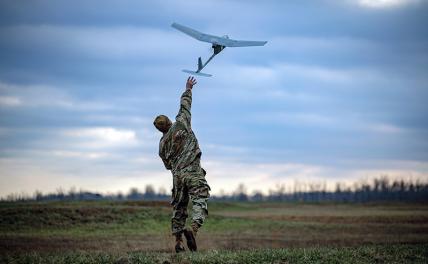 На Украине поймали хитрую «Пуму» – и Пентагон в трауре - СвПресса - СВО. Новости СВО. Новости СВО сегодня. СВО сегодня. Война на Украине. Новости с фронта. Спецоперация на Украине. Новости СВО на 28.10.2024.