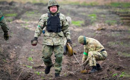 “Разминирование ногами” – самостийное ноу-хау, от которого укро-вояки леденеют от страха - Свободная Пресса - Украина. Новости Украины. Новости. Новости сегодня. Украина сегодня. Война на Украине. Война в Украине. Украина новости сегодня.