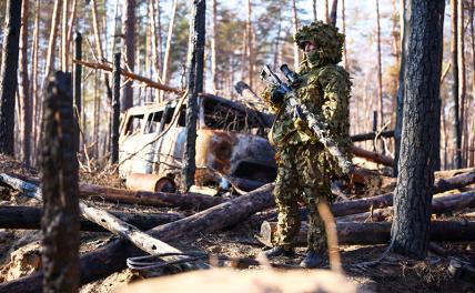 Украинский фронт, 3 февраля, главное за сутки: ВС РФ ведут бои на окраинах Покровска и Купянска - Свободная Пресса - Спецоперация. Новости СВО. Новости России и мира 3 февраля 2025